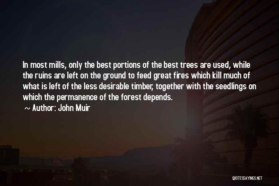 Trees John Muir Quotes By John Muir