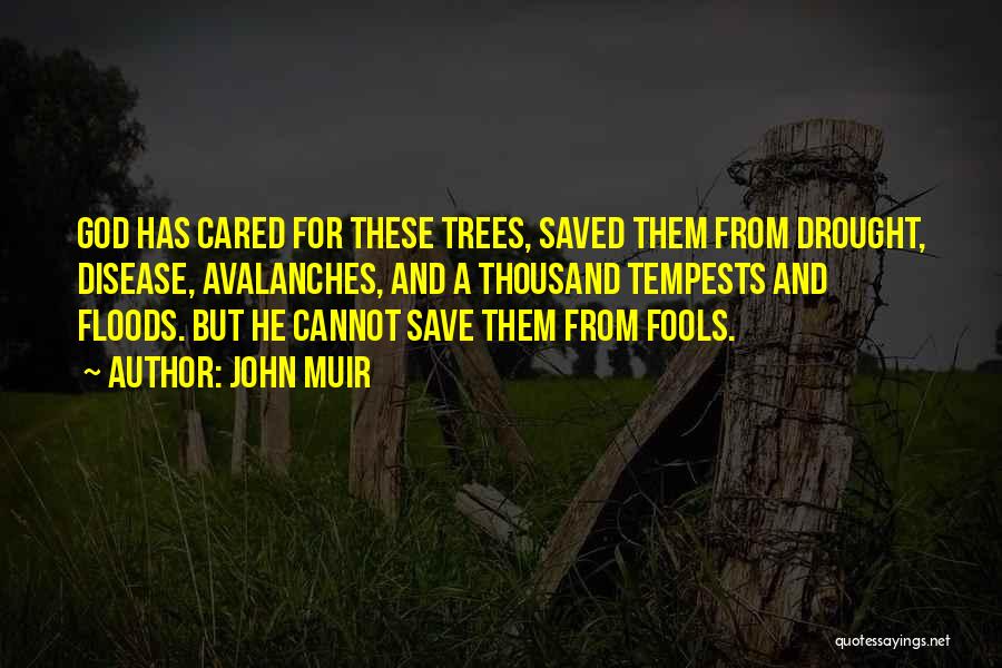 Trees John Muir Quotes By John Muir