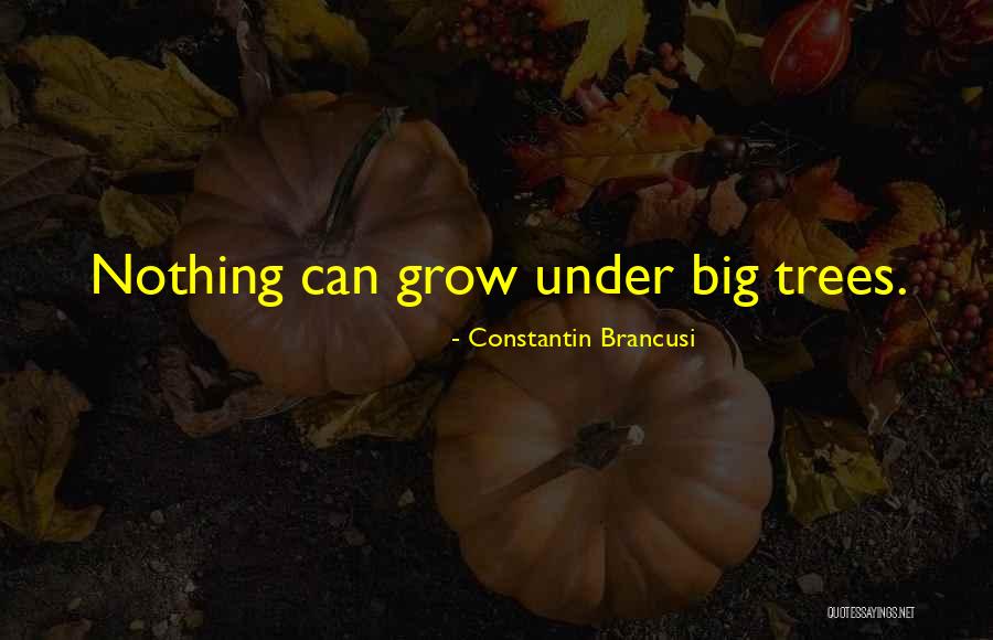 Trees Quotes By Constantin Brancusi Trees Quotes By Constantin Brancusi