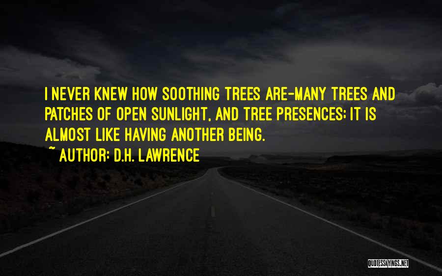 Trees Quotes By D.H. Lawrence