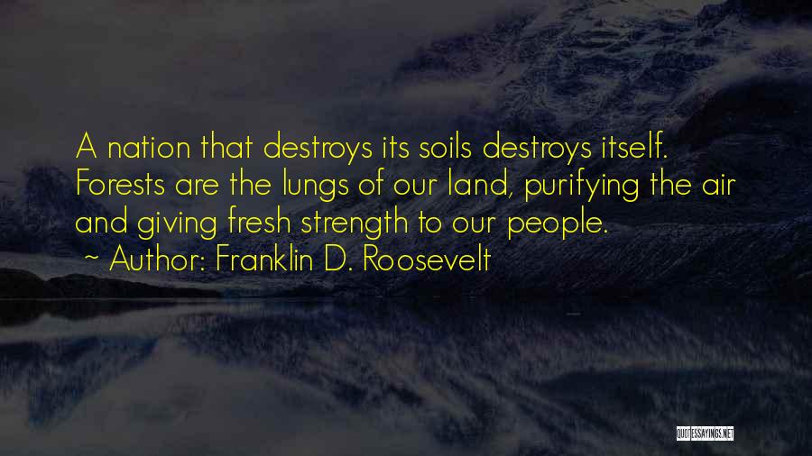 Trees Quotes By Franklin D. Roosevelt