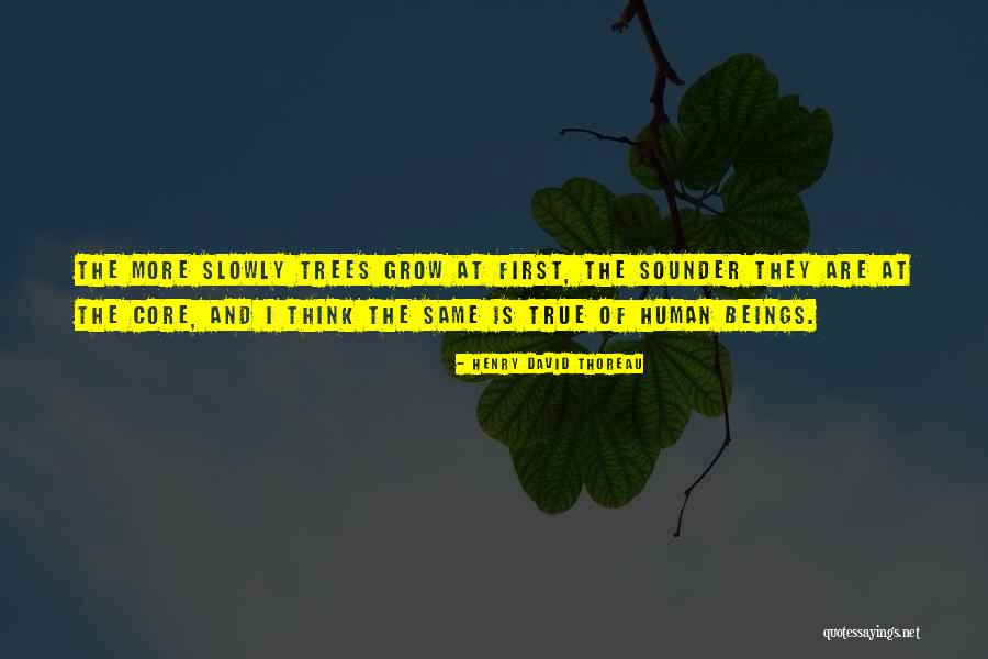 Trees Quotes By Henry David Thoreau