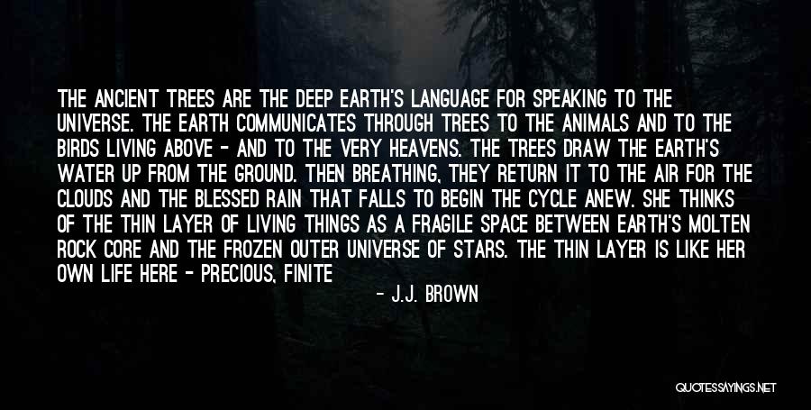 Trees Quotes By J.J. Brown