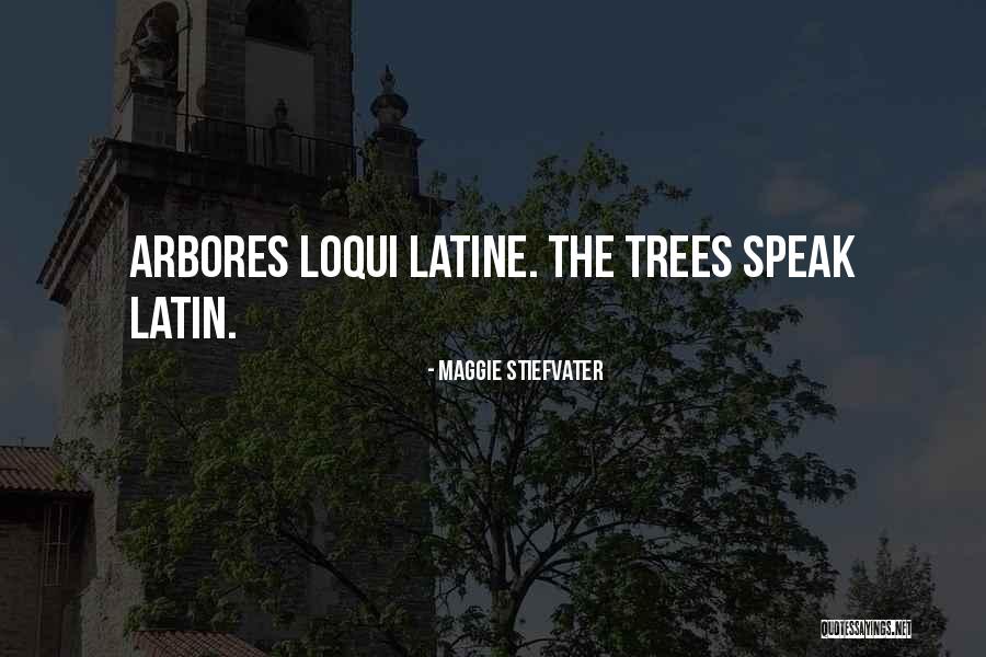 Trees Speak Quotes By Maggie Stiefvater Trees Speak Quotes By Maggie Stiefvater