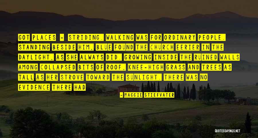 Trees Standing Quotes By Maggie Stiefvater Trees Standing Quotes By Maggie Stiefvater