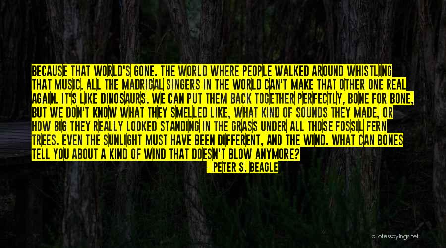Trees Standing Quotes By Peter S. Beagle Trees Standing Quotes By Peter S. Beagle