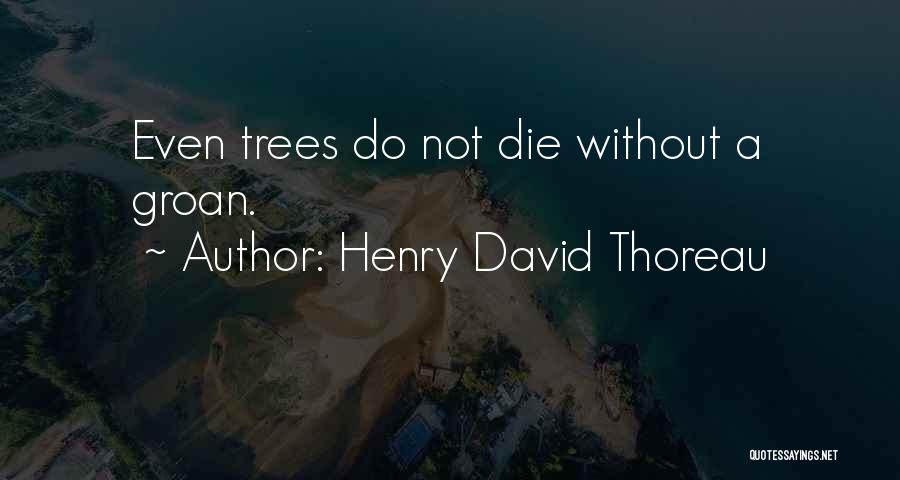 Trees Thoreau Quotes By Henry David Thoreau