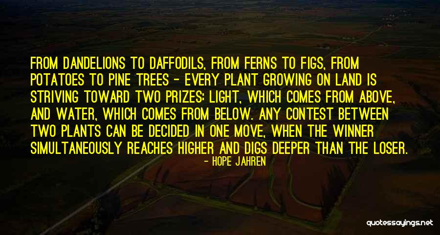 Trees To Plant Quotes By Hope Jahren Trees To Plant Quotes By Hope Jahren