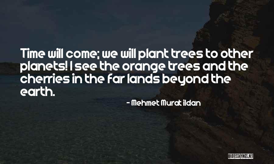 Trees To Plant Quotes By Mehmet Murat Ildan Trees To Plant Quotes By Mehmet Murat Ildan