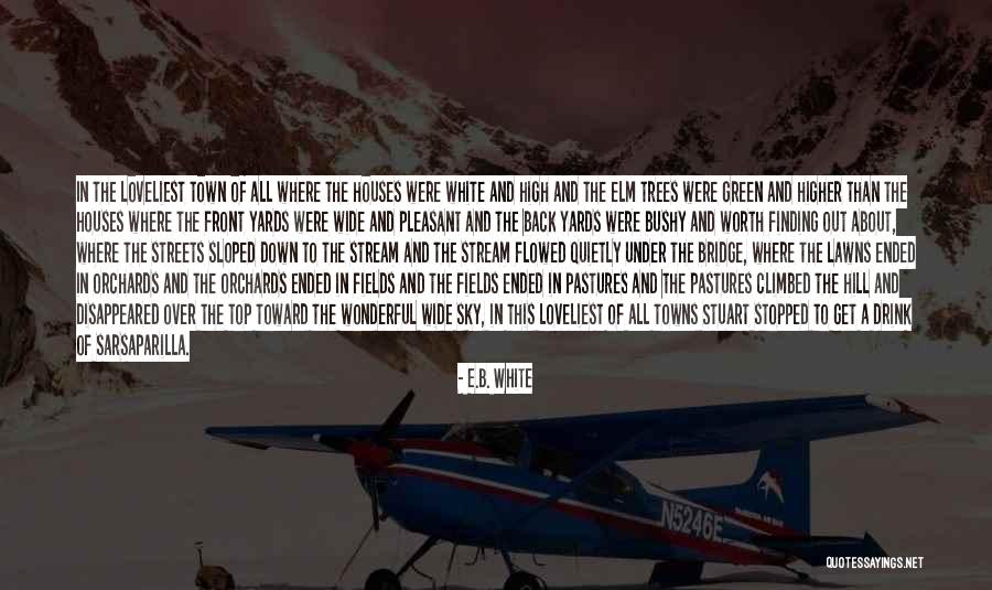 Trees Top Quotes By E.B. White Trees Top Quotes By E.B. White