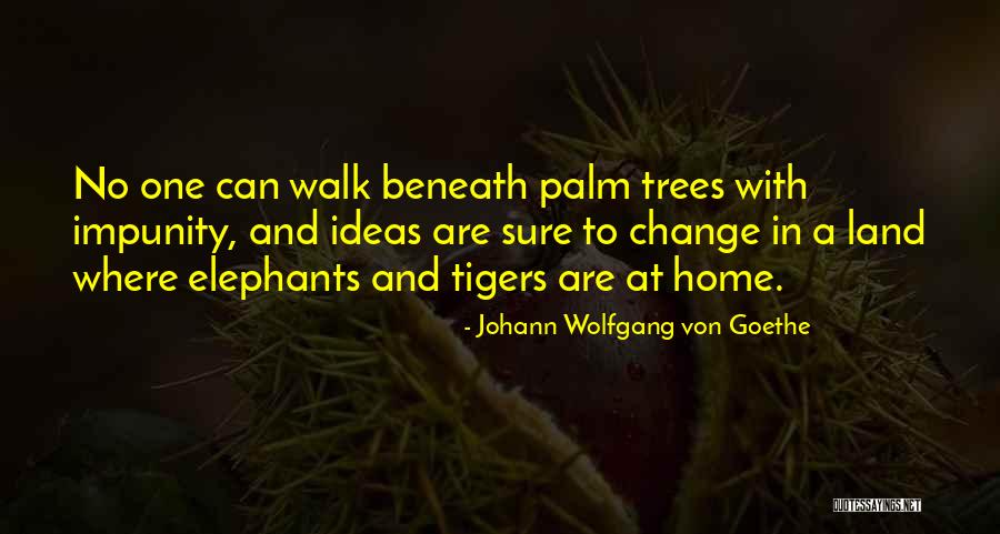 Trees Where Elephants Quotes By Johann Wolfgang Von Goethe Trees Where Elephants Quotes By Johann Wolfgang Von Goethe