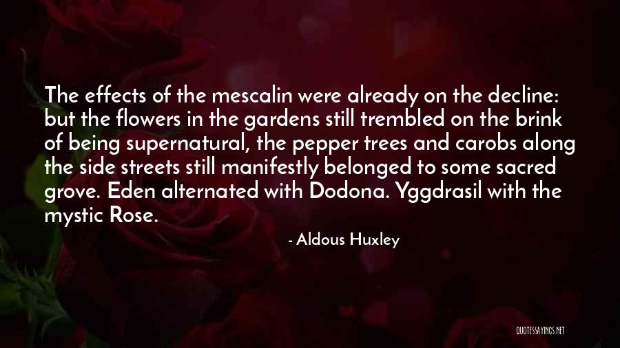 Trees With Flowers Quotes By Aldous Huxley Trees With Flowers Quotes By Aldous Huxley
