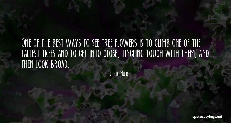 Trees With Flowers Quotes By John Muir Trees With Flowers Quotes By John Muir