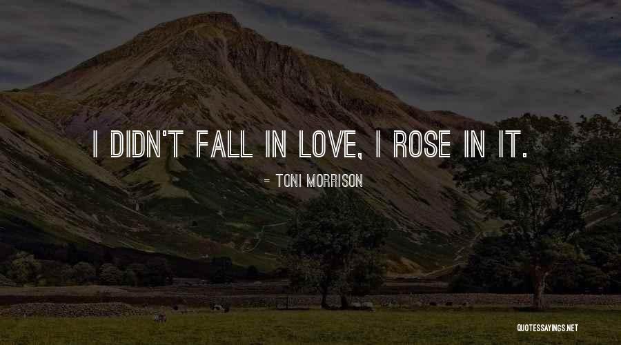 Treffen Conjugation Quotes By Toni Morrison Treffen Conjugation Quotes By Toni Morrison