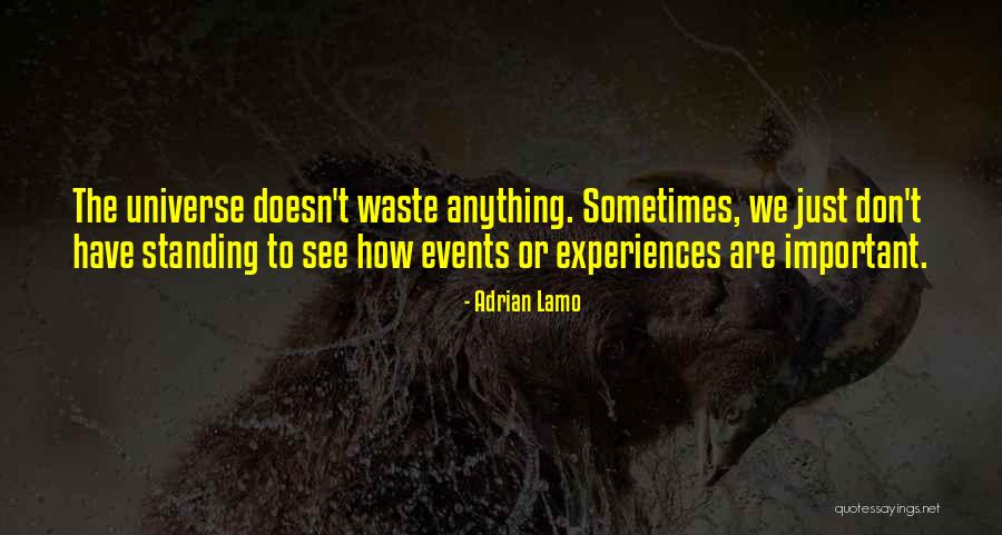 Tregoning And Company Quotes By Adrian Lamo Tregoning And Company Quotes By Adrian Lamo