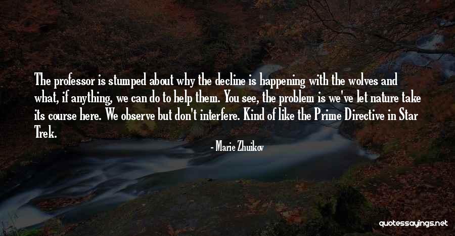 Trek Quotes By Marie Zhuikov