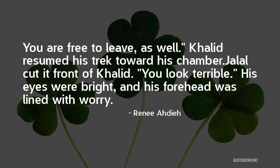 Trek Quotes By Renee Ahdieh