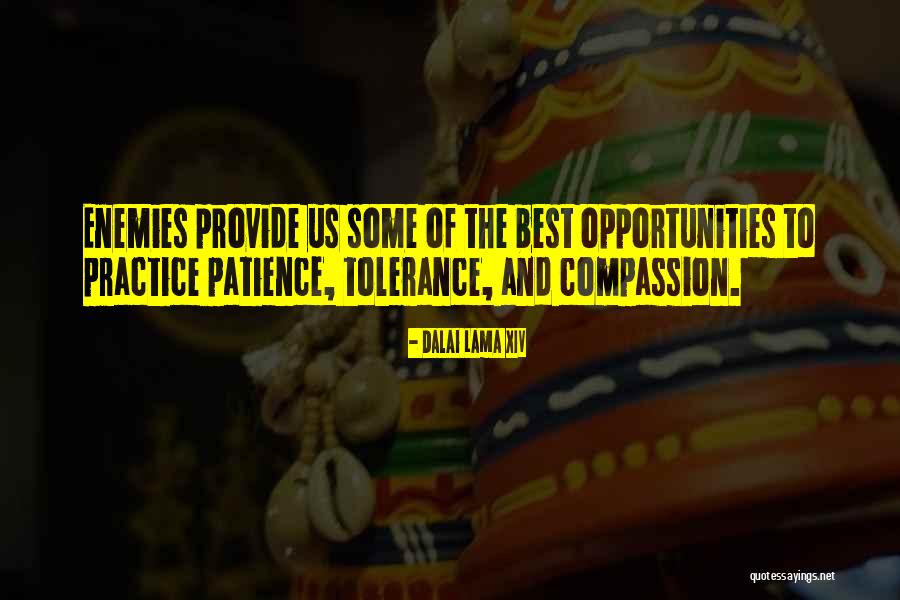 Trelawney Classroom Quotes By Dalai Lama XIV Trelawney Classroom Quotes By Dalai Lama XIV