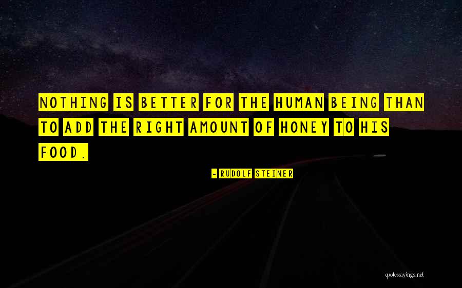 Treleaven King Quotes By Rudolf Steiner Treleaven King Quotes By Rudolf Steiner