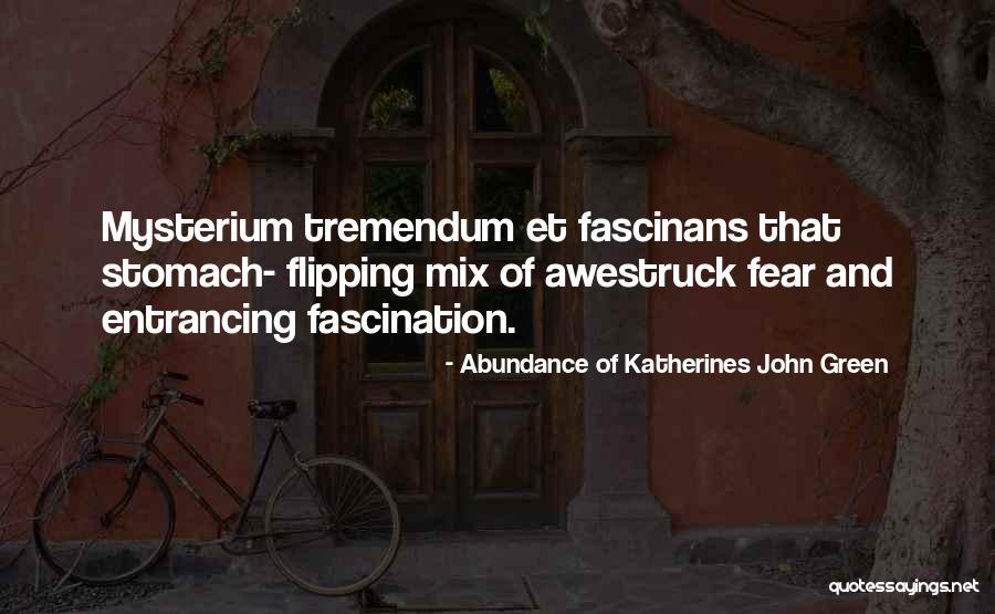 Tremendum Mysterium Quotes By Abundance Of Katherines John Green Tremendum Mysterium Quotes By Abundance Of Katherines John Green