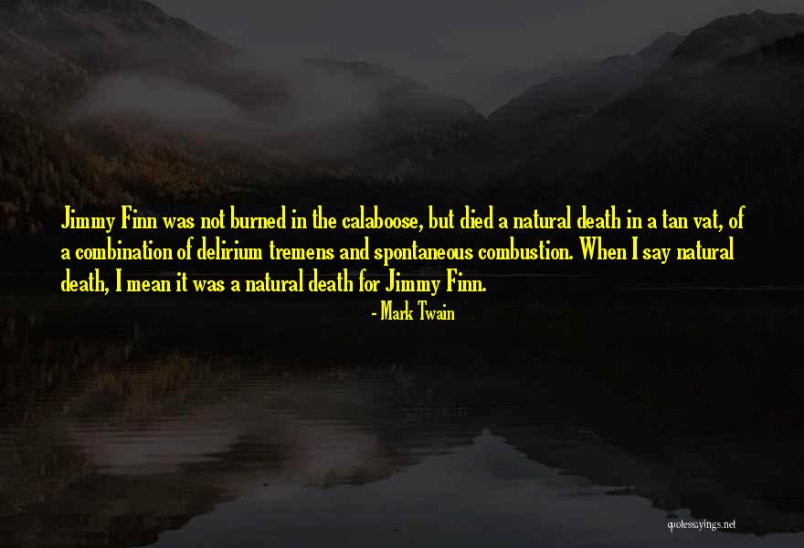 Tremens Delirium Quotes By Mark Twain Tremens Delirium Quotes By Mark Twain