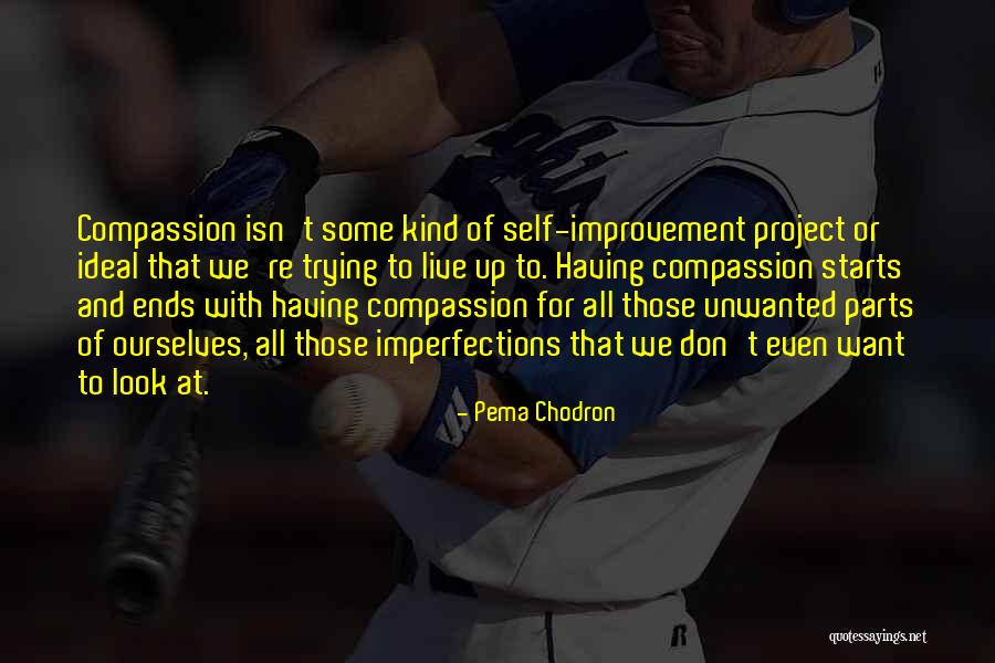Tremerz Quotes By Pema Chodron Tremerz Quotes By Pema Chodron