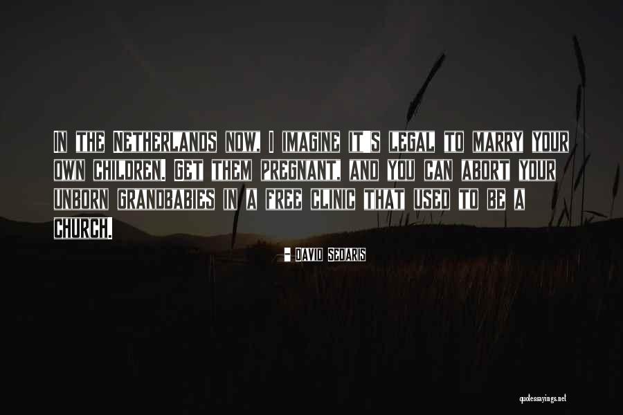 Tremonti Guitar Quotes By David Sedaris Tremonti Guitar Quotes By David Sedaris