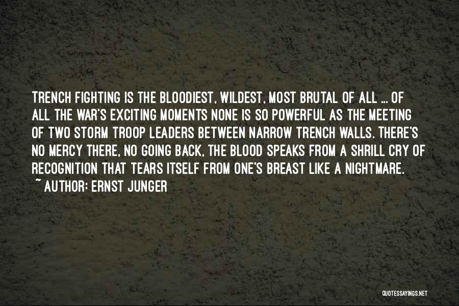 Trench Warfare Quotes By Ernst Junger