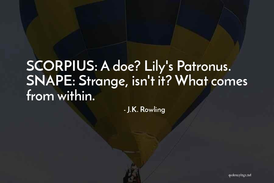 Trennon Massengale Quotes By J.K. Rowling