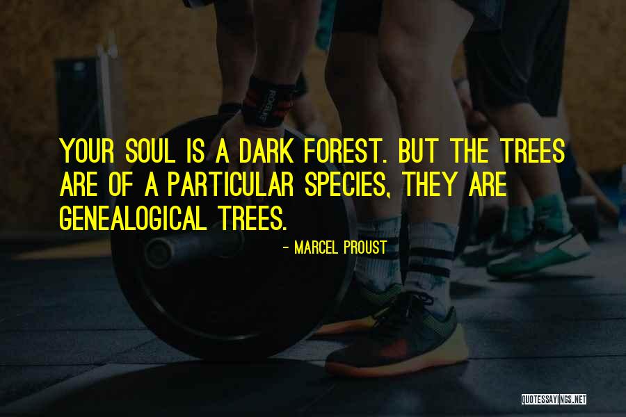 Trenter Bacon Quotes By Marcel Proust Trenter Bacon Quotes By Marcel Proust