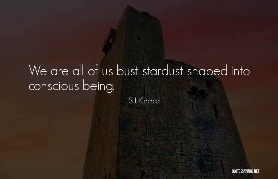 Tresillian Script Quotes By S.J. Kincaid