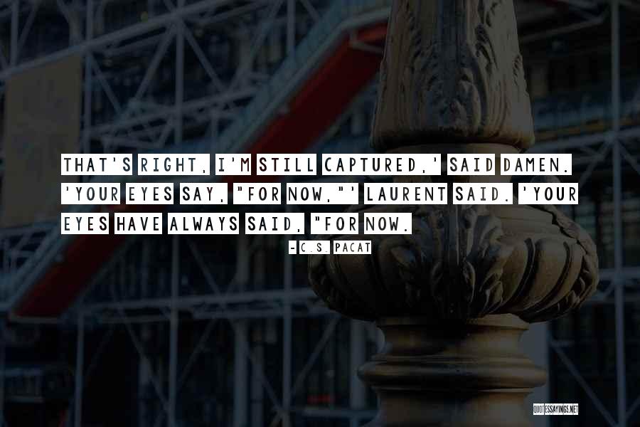 Treurnicht Quotes By C.S. Pacat Treurnicht Quotes By C.S. Pacat