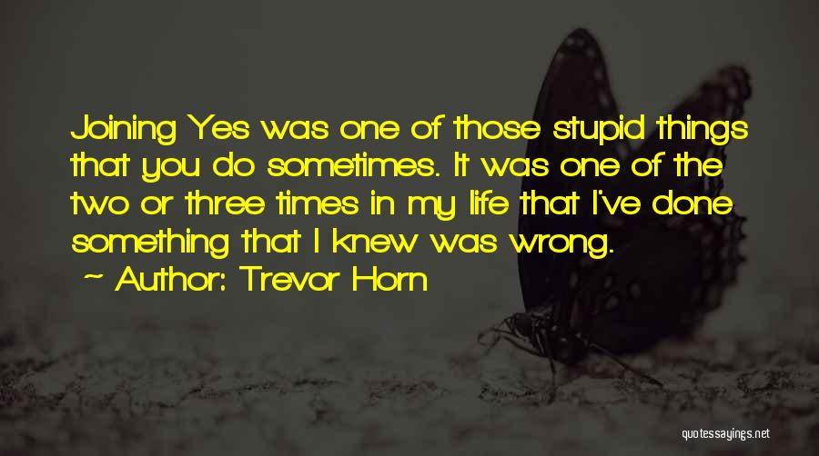 Trevor Horn Quotes 1095248