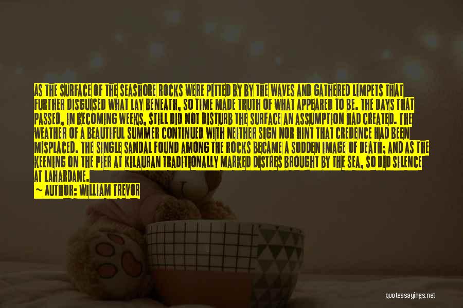 Trevor Quotes By William Trevor