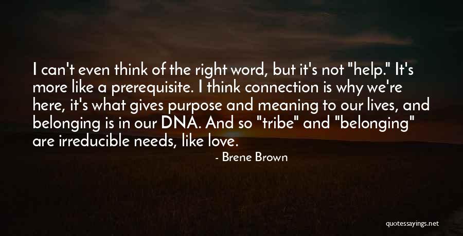 Trewely Quotes By Brene Brown Trewely Quotes By Brene Brown