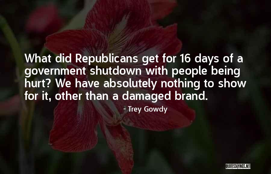 Trey Gowdy Quotes 641921