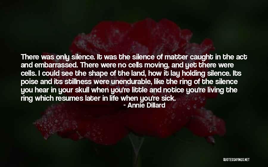 Trgt Digital Quotes By Annie Dillard Trgt Digital Quotes By Annie Dillard