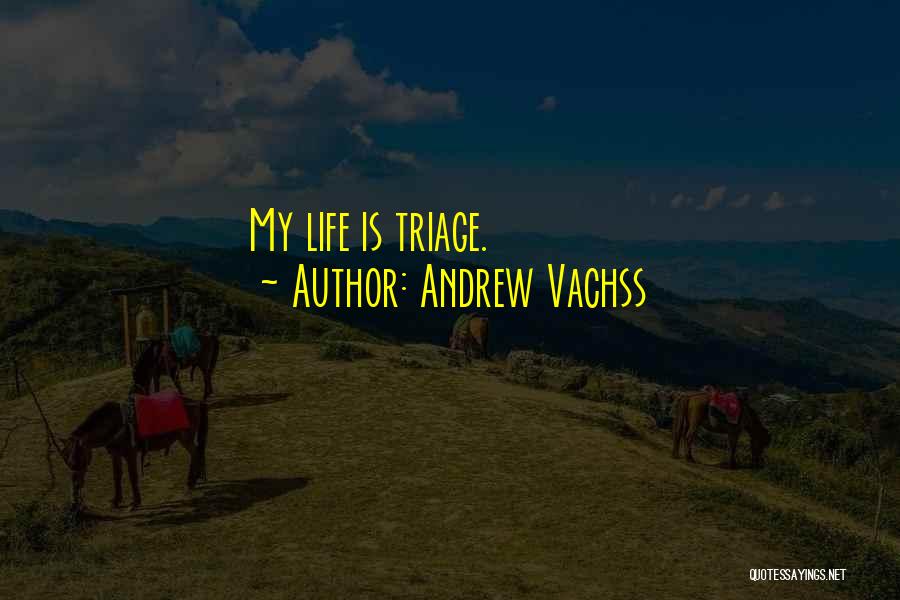 Triage Quotes By Andrew Vachss