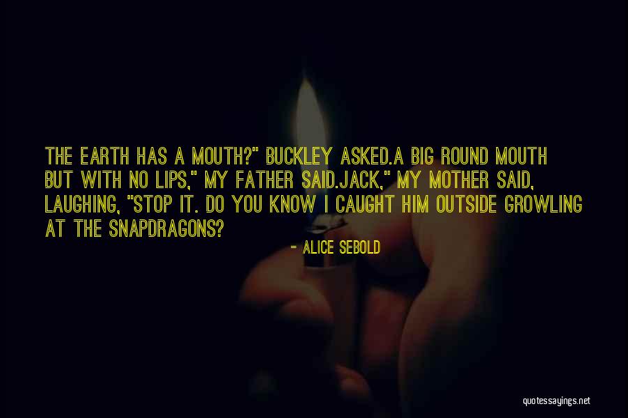 Trial In Tkam Quotes By Alice Sebold Trial In Tkam Quotes By Alice Sebold
