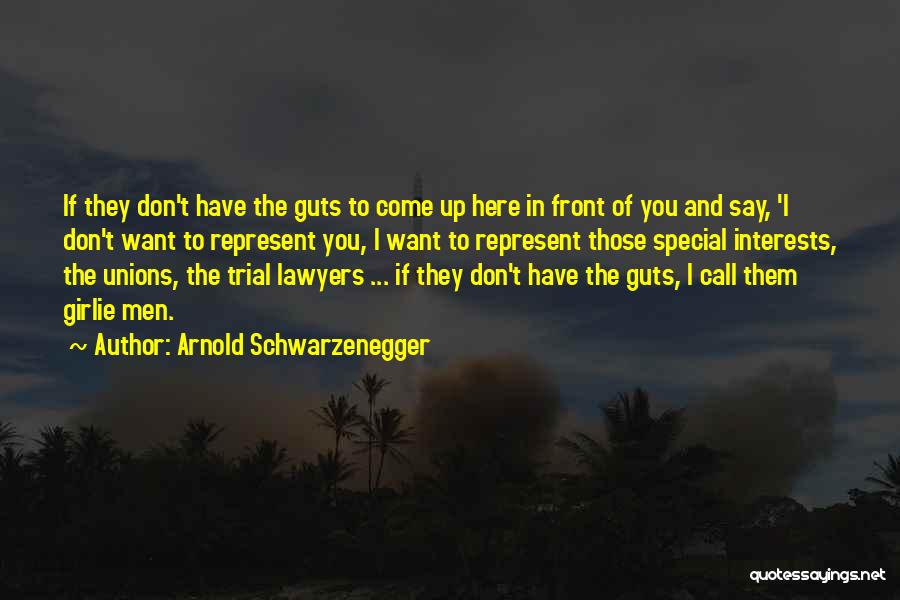 Trial Lawyers Quotes By Arnold Schwarzenegger