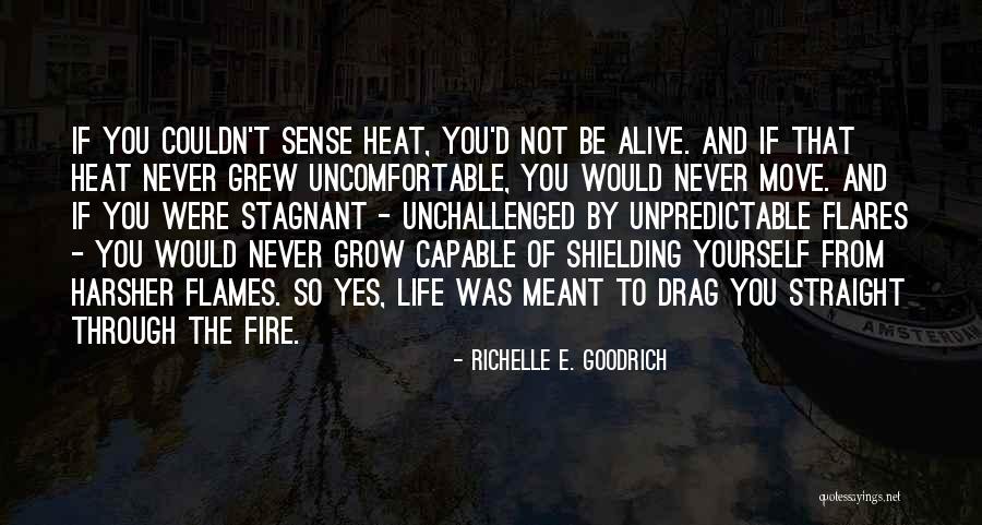 Trials And Challenges In Life Quotes By Richelle E. Goodrich