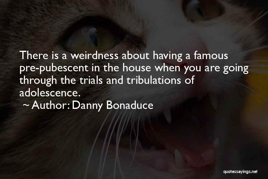 Trials And Tribulations Quotes By Danny Bonaduce