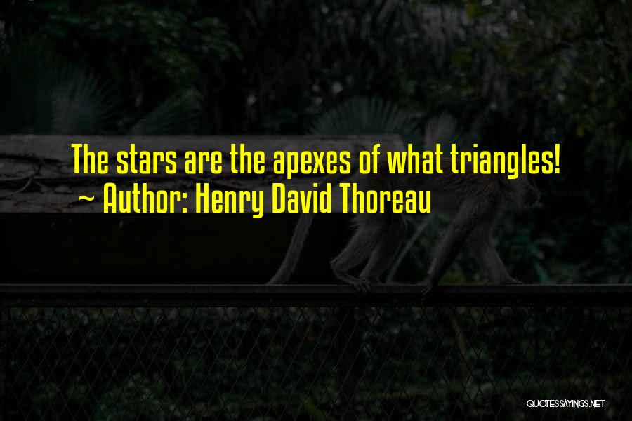 Triangles Quotes By Henry David Thoreau