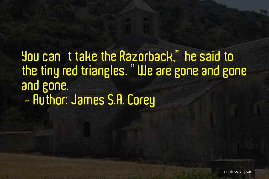 Triangles Quotes By James S.A. Corey