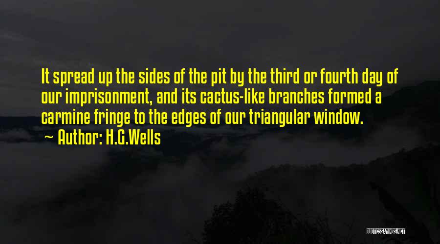 Triangular Quotes By H.G.Wells