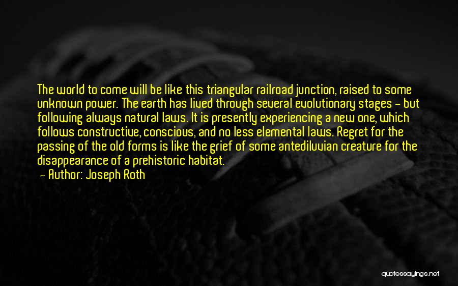 Triangular Quotes By Joseph Roth