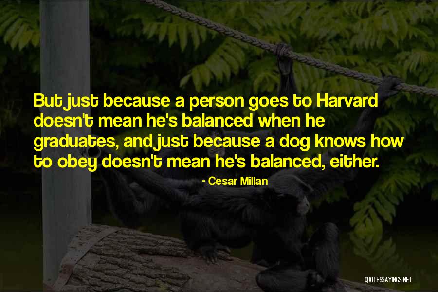 Triar Seafood Quotes By Cesar Millan