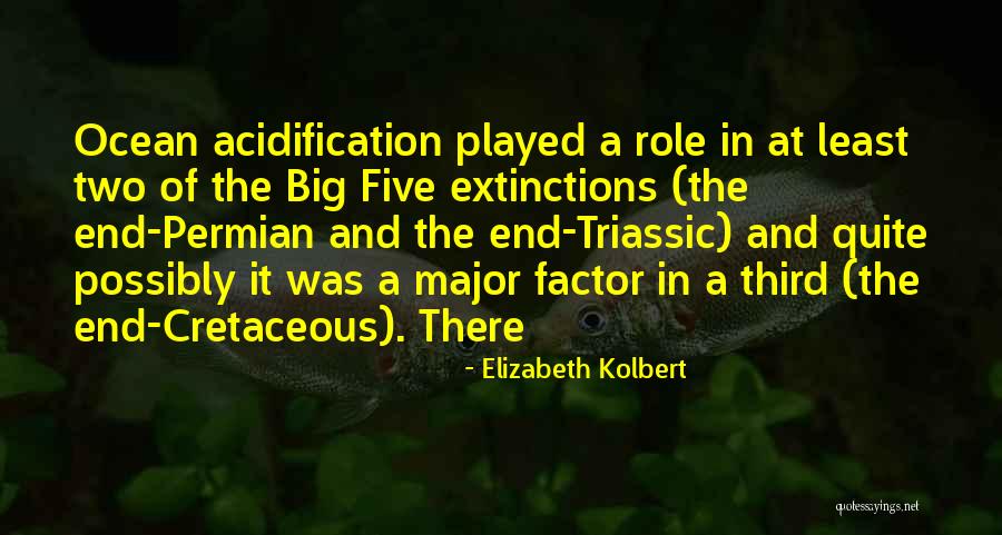 Triassic Quotes By Elizabeth Kolbert Triassic Quotes By Elizabeth Kolbert