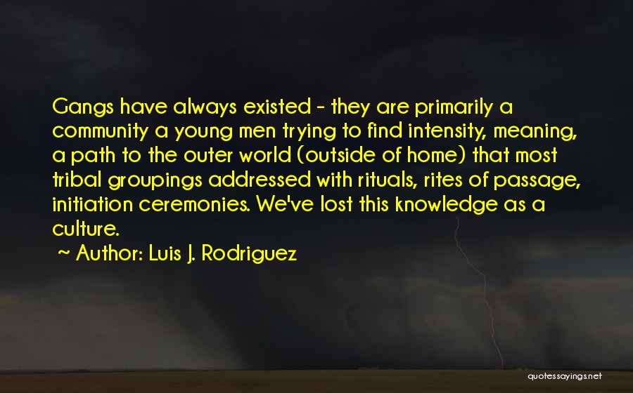 Tribal Culture Quotes By Luis J. Rodriguez