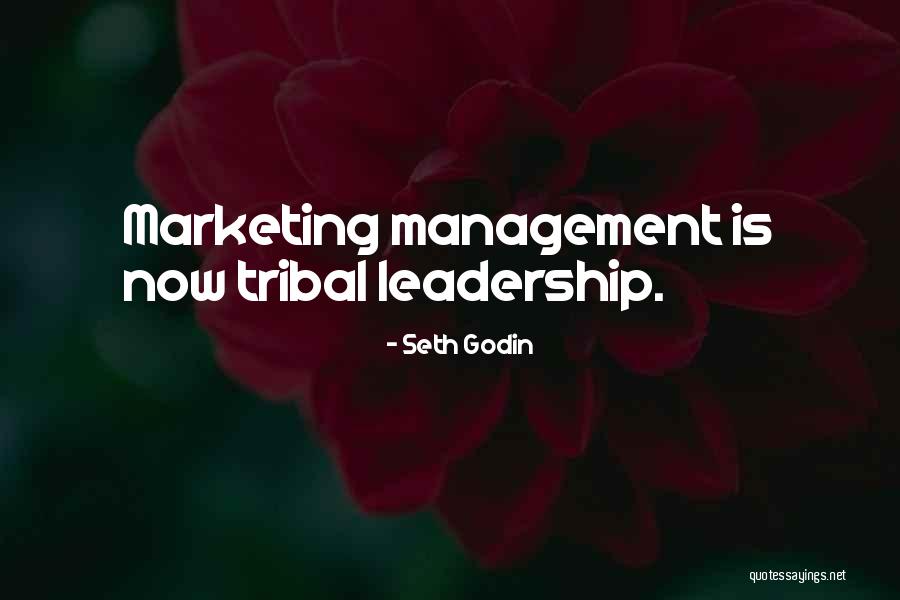 Tribal Quotes By Seth Godin